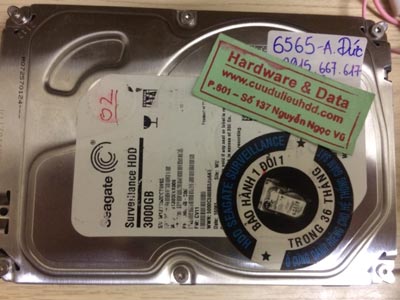 6565 Seagate 3TB bad Sector