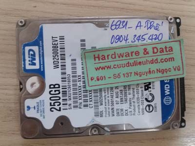 khôi phục dữ liệu Western 250GB