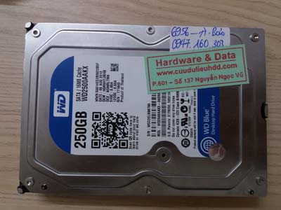 cứu dữ liệu WD2500AAKX