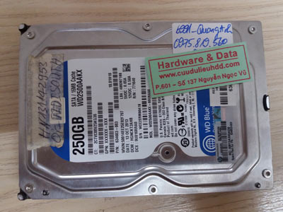 6991 Western 250GB hỏng đầu từ