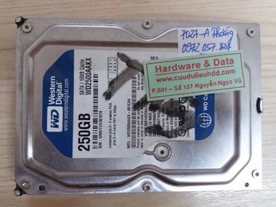 7027 Western 250GB hỏng đầu từ