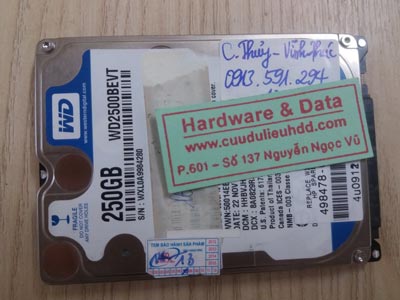 18/11 Western 250Gb chết cơ