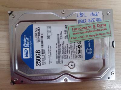 4 12 western 250gb chết cơ