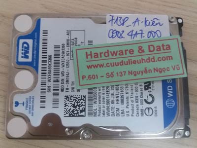 7138 western 250GB lỗi đầu đọc