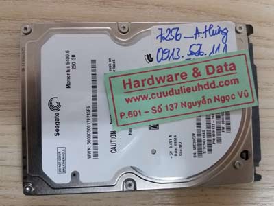 7256 Seagate 250GB đầu từ lỗi