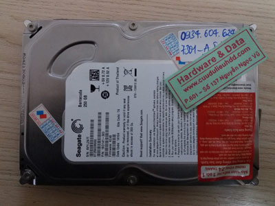 7301 Seagate 250GB chết cơ