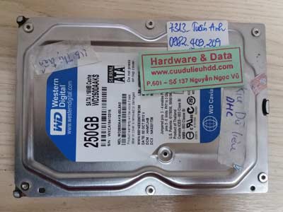 7313 Western 250GB chết cơ