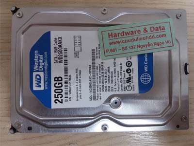 10-4 Western 350GB ghost nhầm