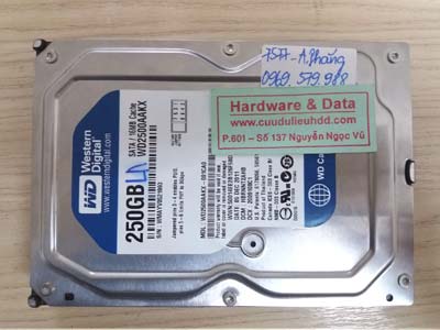 7577 Western 250GB chết cơ