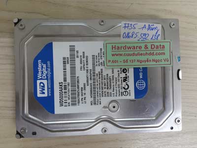 7735 Western 500GB không nhận