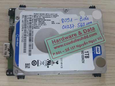 8019 Western 1TB