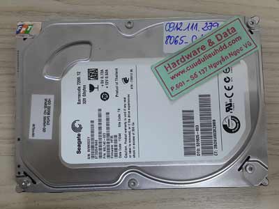 8065 Seagate 320GB chết cơ