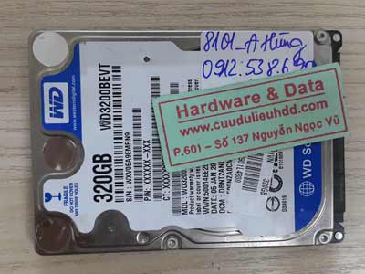 8101 western 320GB
