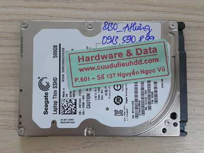 8130 Seagate 500GB