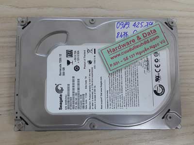 8176 Seagate 500GB