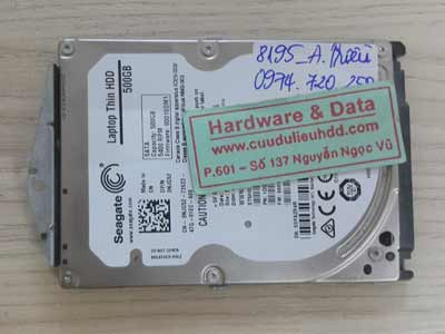 8195 Seagate 500GB