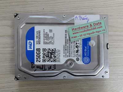 22-9 Western 250GB