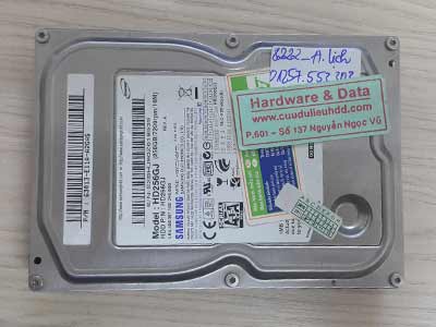 8222 Samsung 250GB