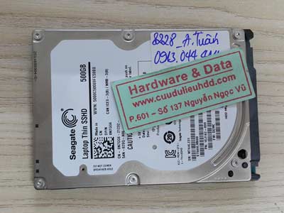 8228 Seagate 500GB