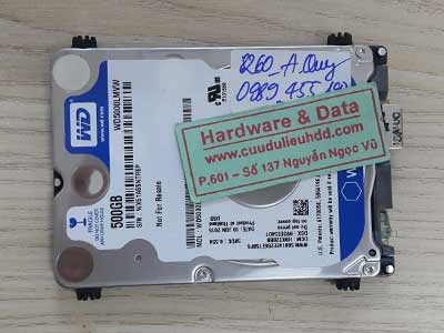 8260 Western 500GB