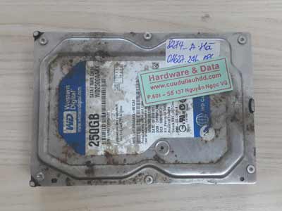 8274 Western 250GB