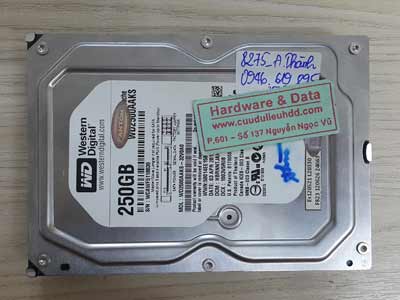 8275 Western 250GB