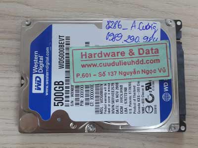 8286 Wester 500GB