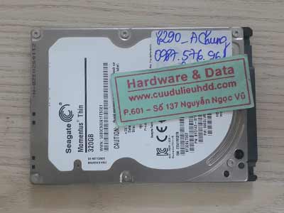 8290 Seagate 250GB