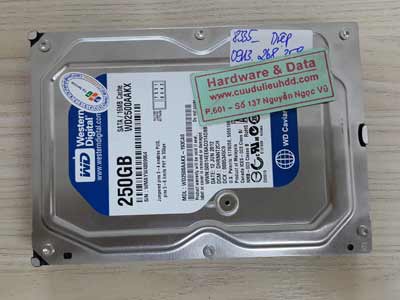 8335 Western 250GB