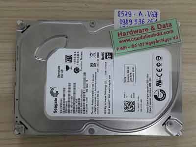 8579 Seagate 500GB