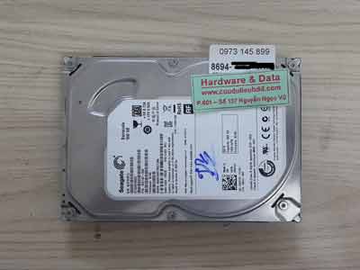 8694 Seagate 500GB