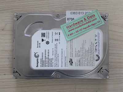8706 Seagate 250GB