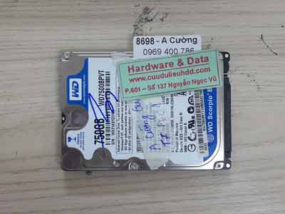 8698 Western 750GB