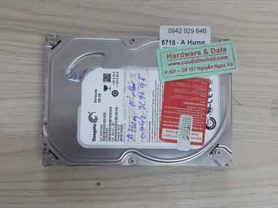 8718 Seagate 250GB