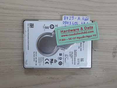 8729 Seagate 1TB