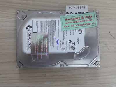8745 Seagate 500GB