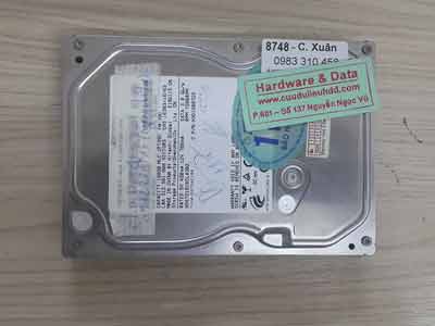 8748 Hitachi 160GB
