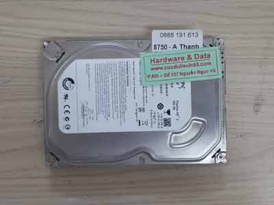 8750 Seagate 500GB