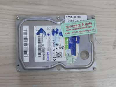 8753 Samsung 250GB