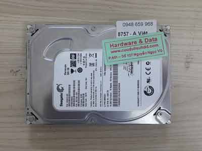 8757 Seagate 500GB