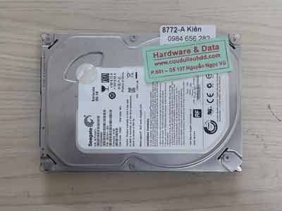 8772 Seagate 250GB
