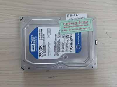 8786 Western 250GB