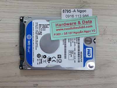 8795 Western 320GB