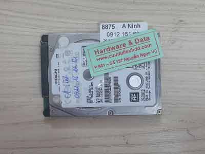 8875 Hitachi 500GB