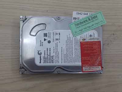 8917 Seagate 250GB