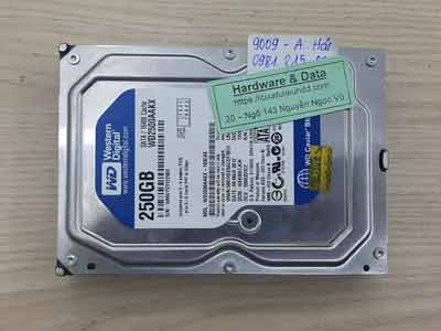 9009 Western 250GB