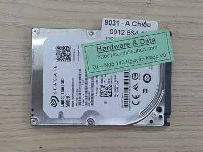 9031 Seagate 500GB