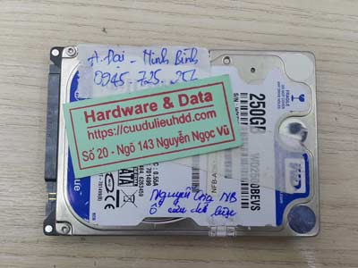 13-3 western 250GB