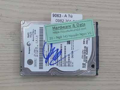 9063 Seagate 160GB