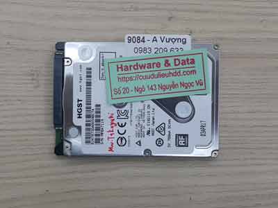 9084 Hitachi 320GB